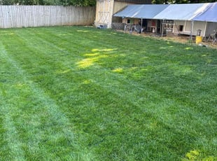 Eugene R.'s turf care service result