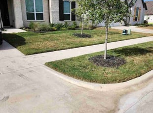 Tony M.'s lawn care services service result