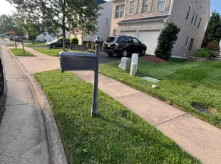 Duane S.'s lawn service service result