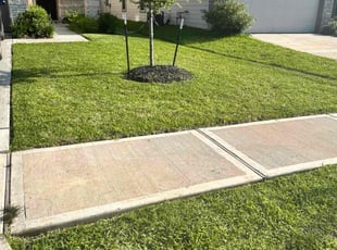 Jarvis U.'s lawn maintenance service result