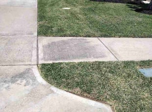 Priscilla R.'s turf care service result