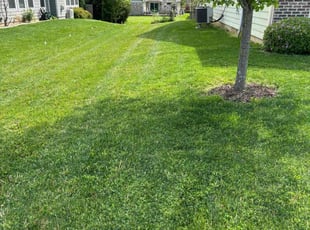 Bonnie M.'s turf maintenance service result