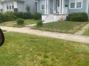 Janice G.'s Bush Trimming service result