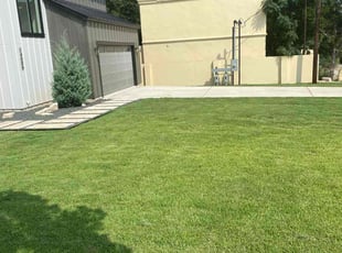 Kevin R.'s grass maintenance service result