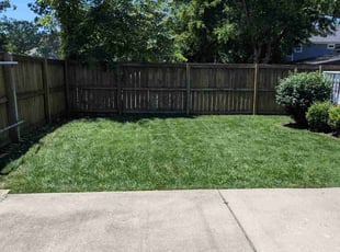 Robbie F.'s grass cutting service result