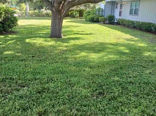 Joann H.'s lawn maintenance service result