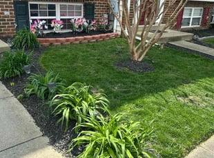 Dellonte S.'s lawn service service result