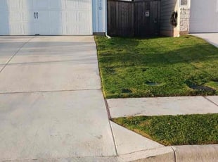 Daniel D.'s grass maintenance service result