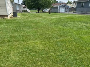 Sherrell C.'s grass maintenance service result
