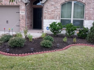 Tammy T.'s Flower Bed Weeding service result