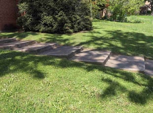 Stephen K.'s grass cutting service result