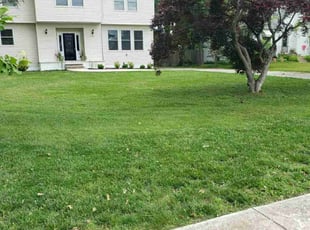Rosalyn W.'s lawn service service result