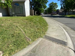 Ro M.'s grass maintenance service result