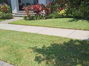 Jared F.'s lawn care service result