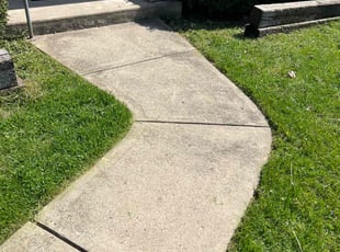 Jason P.'s turf maintenance service result