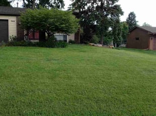 Tonya W.'s lawn care service result