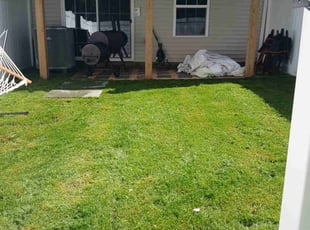 Jeanette H.'s turf care service result