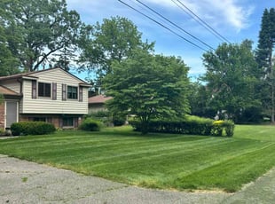 Jenna L.'s lawn maintenance service result