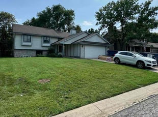 Cameron P.'s grass maintenance service result