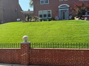 Christine P.'s lawn care service result