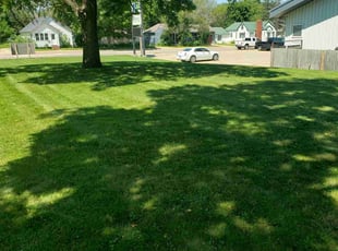 Sungwon H.'s lawn service service result
