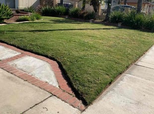 Skip B.'s lawn care services service result