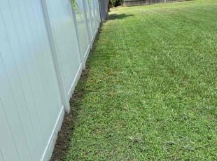Aaron D.'s lawn care service result