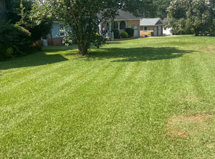 William C.'s lawn service service result