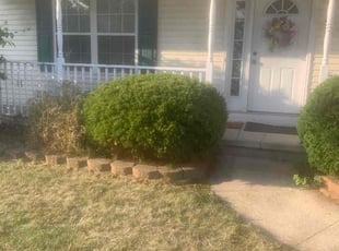 Farida K.'s turf care service result