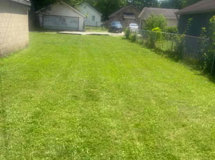 Ashlei P.'s turf care service result