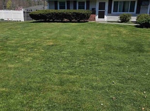 Valencia H.'s grass cutting service result