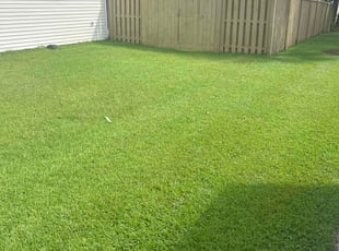 Adam G.'s grass cutting service result