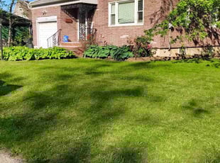 Suzanne M.'s lawn care services service result