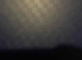 Shannele D.'s Bush Trimming service result