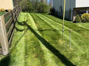 Meghann A.'s lawn care services service result