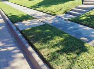 Linh M.'s lawn service service result
