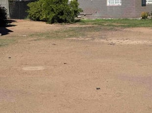 Phillip C.'s lawn care services service result