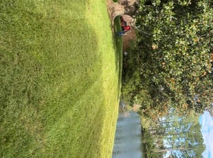 Fred S.'s lawn care services service result