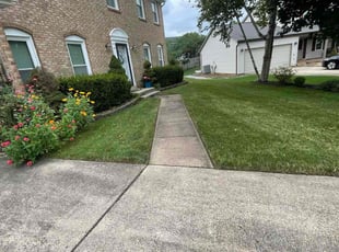 Nelo A.'s lawn service service result