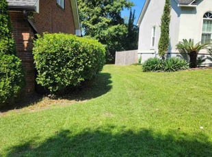 Tiffany N.'s turf care service result