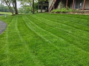 Leigh S.'s yard work service result