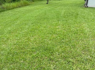 Axel L.'s lawn care services service result
