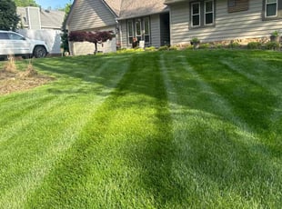 Janet B.'s lawn care service result
