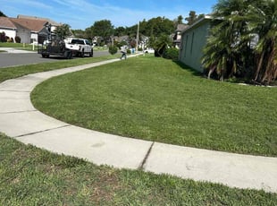 Jordan D.'s turf care service result