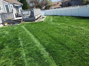 Amber F.'s lawn service service result