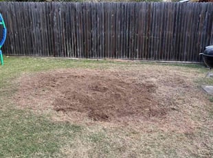 Patrick W.'s Flower Bed Weeding service result