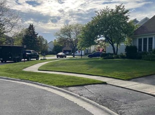 Shanna J.'s lawn maintenance service result