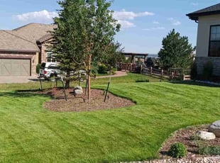 Pam F.'s lawn care service result