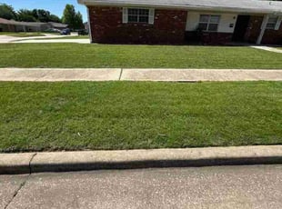 Luis R.'s grass maintenance service result