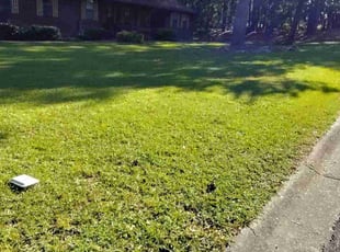 Bobby B.'s lawn care service result